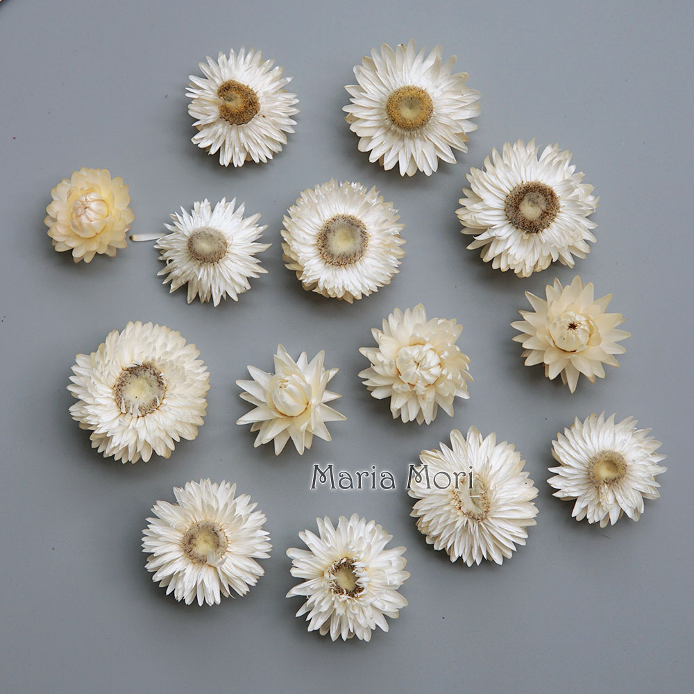 Baby Products For 1 Year Old - Natural Dried Colorful Chrysanthemum Wreath Handmade