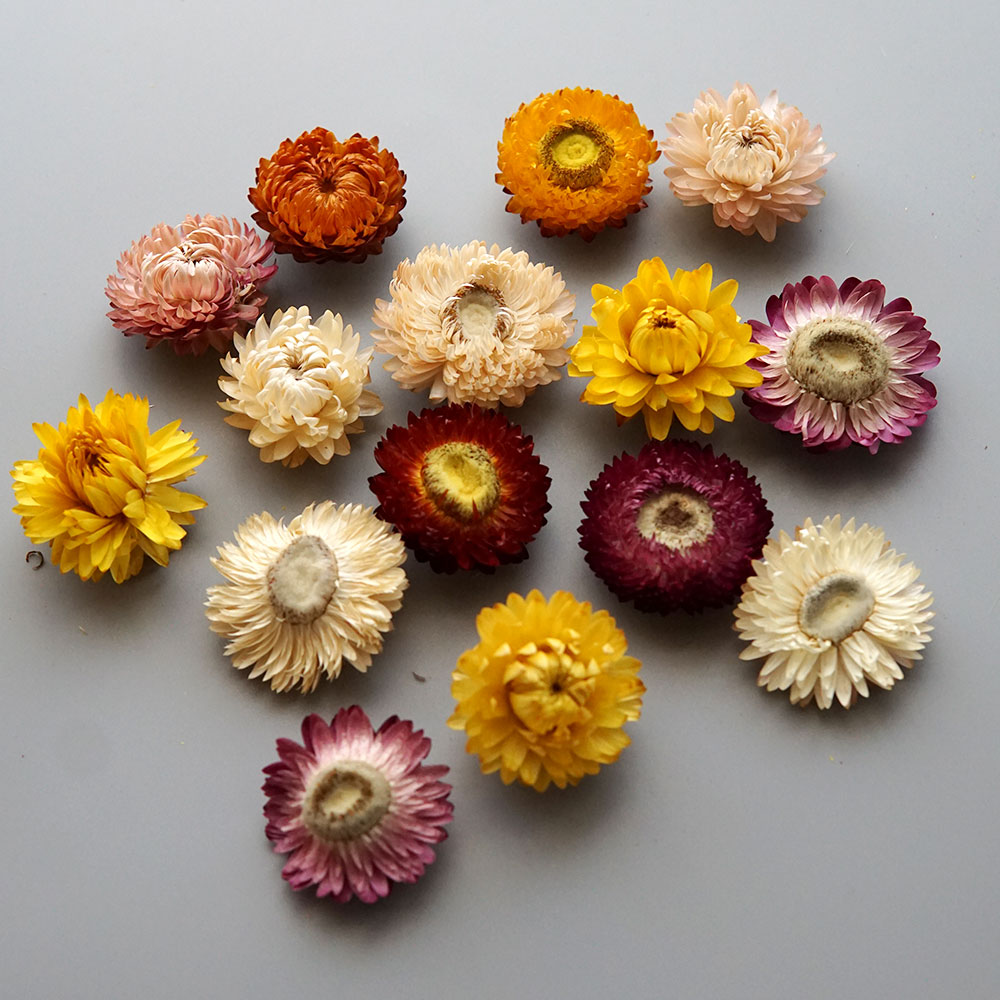 Natural Dried Colorful Chrysan - Baby Products For 1 Year Old recension och pris