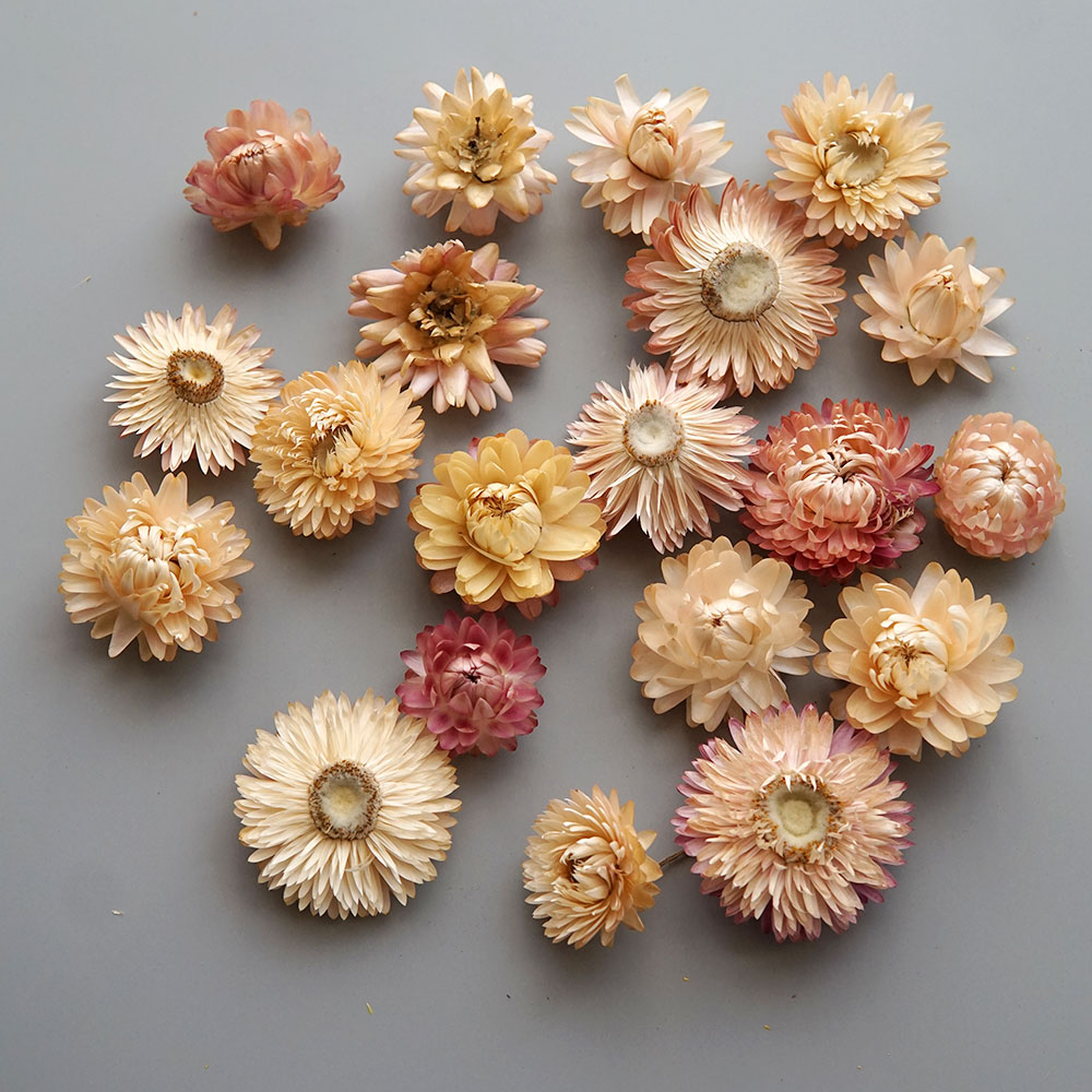 Natural Dried Colorful Chrysan - Baby Products For 1 Year Old recension och pris